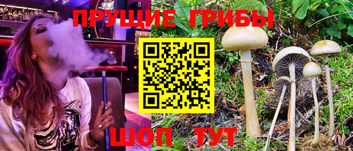 Галлюциногенные грибы MAGIC MUSHROOMS  Галлюциногенные грибы MAGIC MUSHROOMS  Тавда  Вход с VPN 
