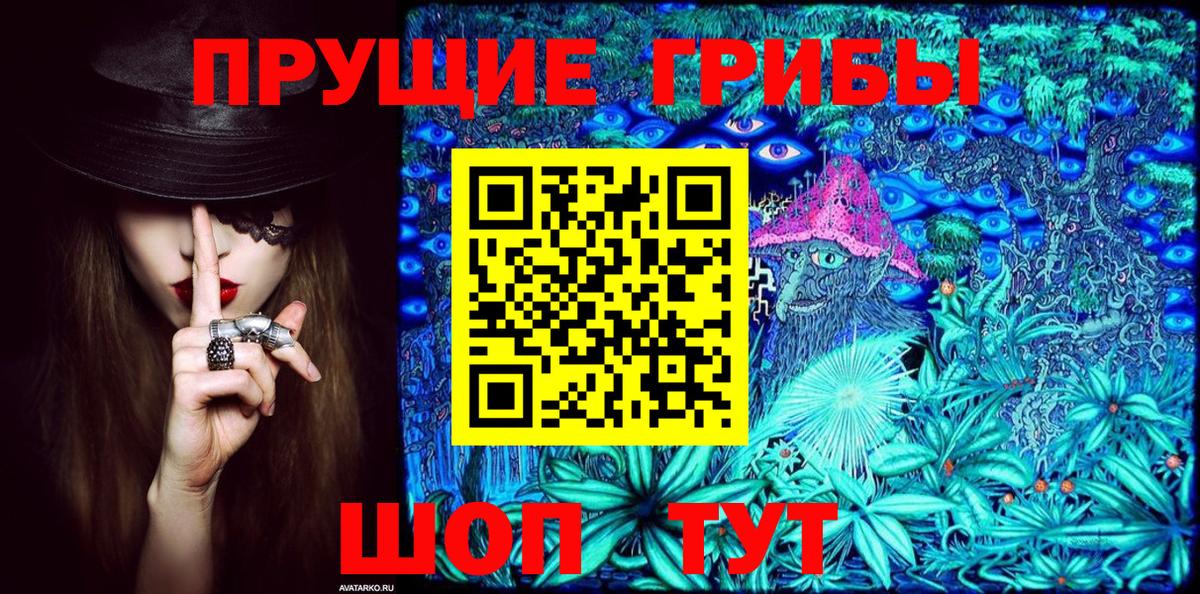 Псилоцибиновые грибы Cubensis Тавда
